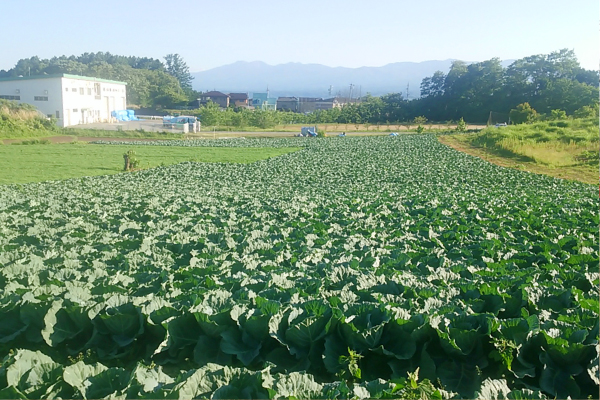 就農をお考えの方